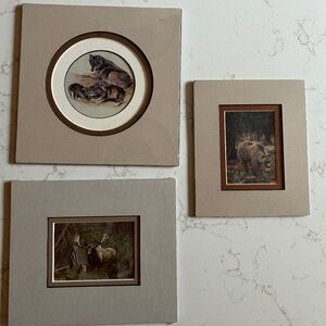 Set of three matted wildlife animal prints